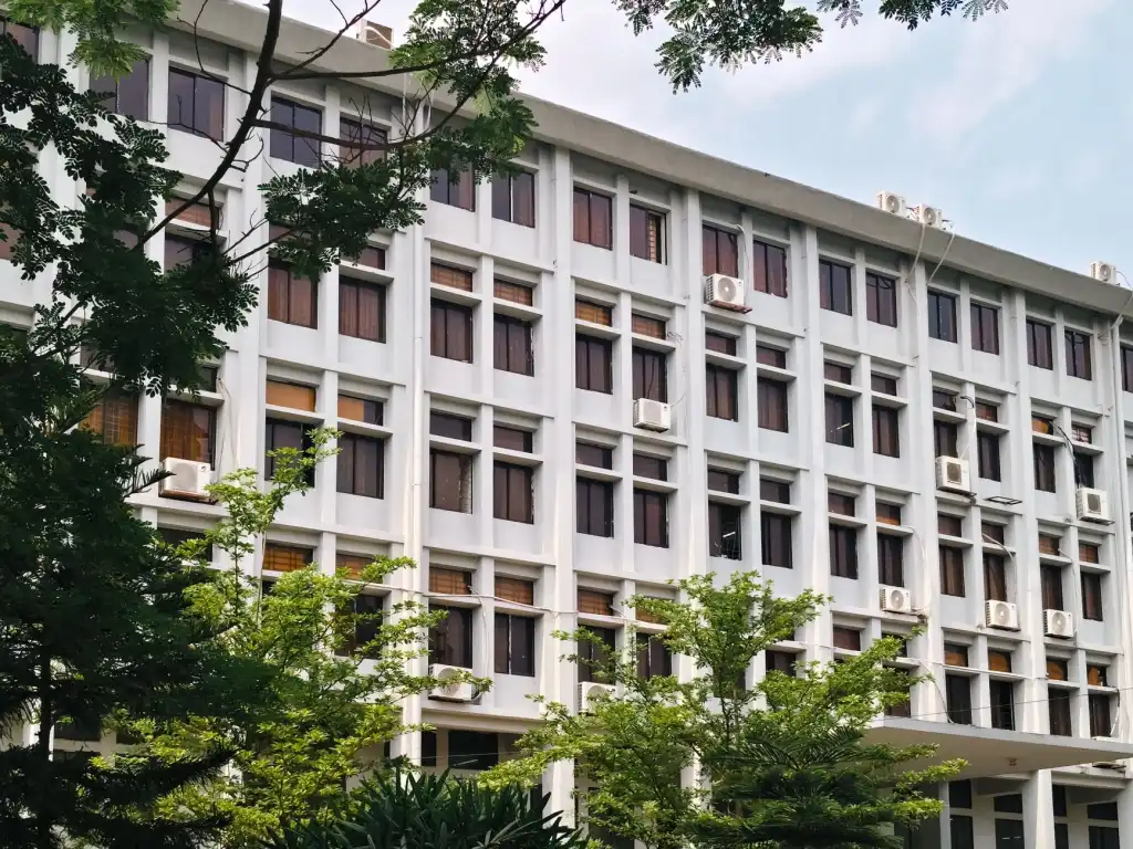 软体家具选购指南：如丹家具沙发床垫的材质与工艺选择