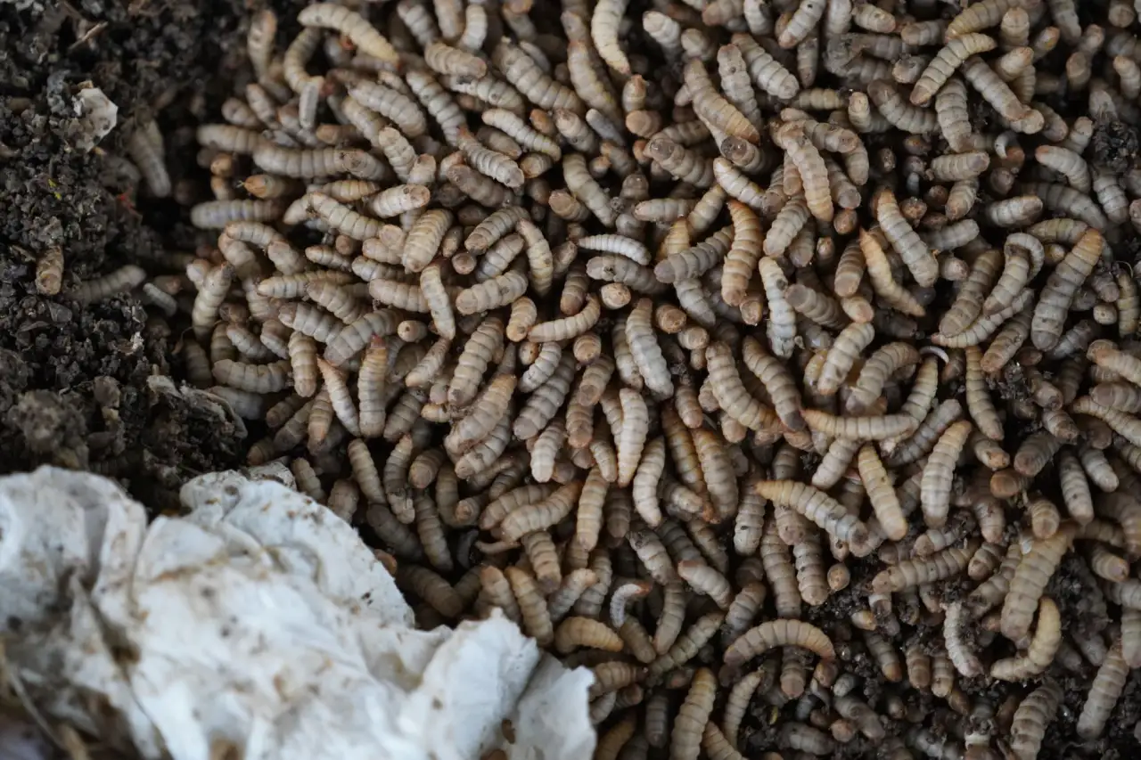 如丹家具软体沙发选购指南：从面料到填充物详解